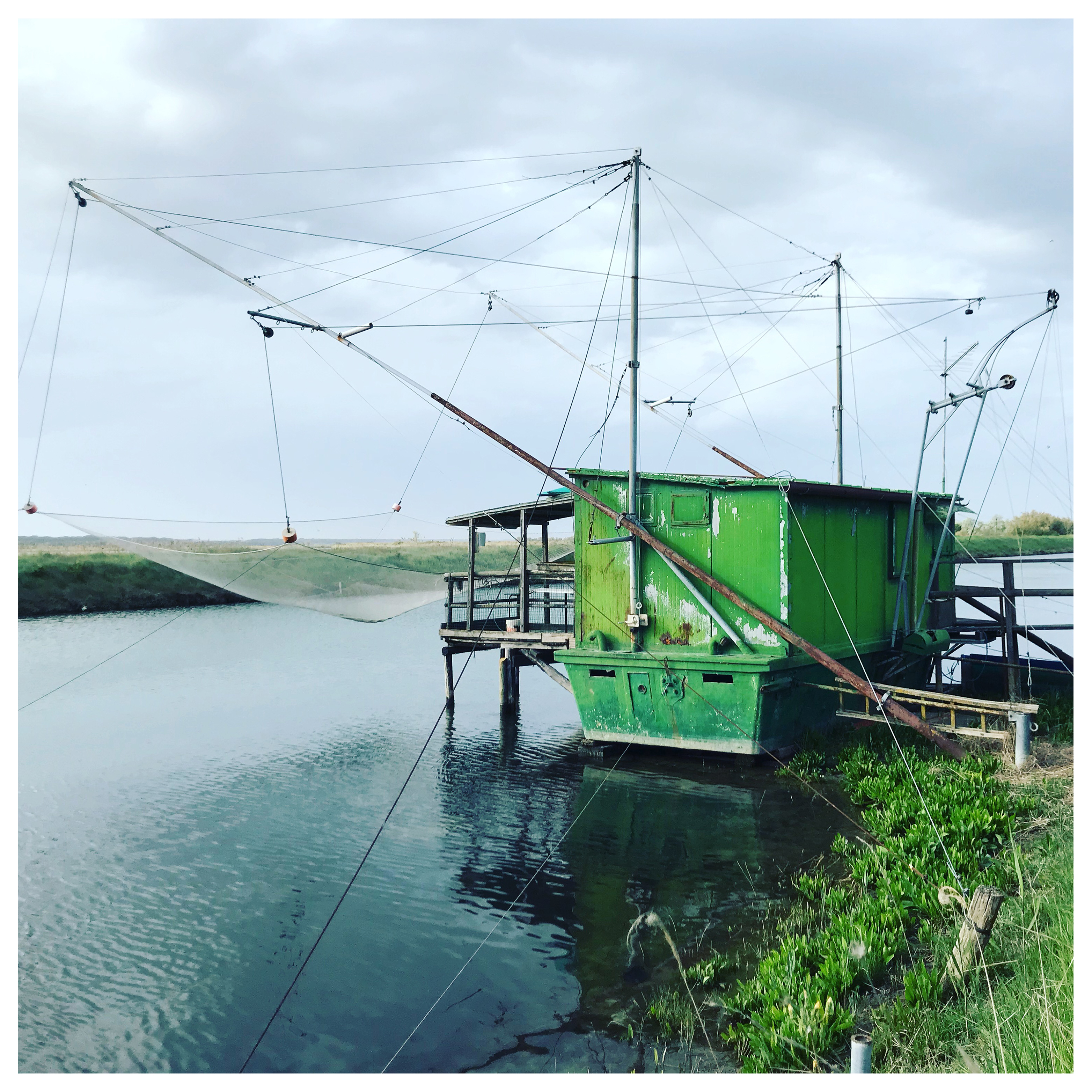 | Trabucco, color verde assorbente | Canale Magni, pressi Capanno Garibaldi, Fossa Catlina - 24/04/2019 (foto DL)